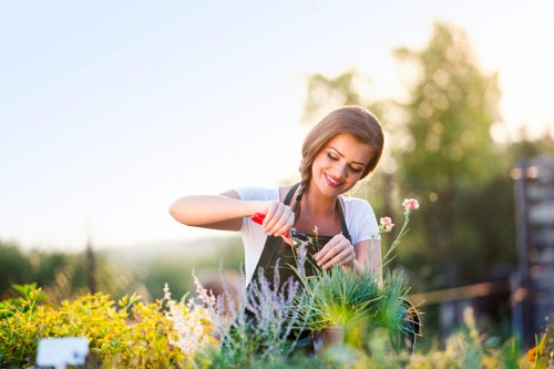 Beautiful Pinner garden with diverse plants and garden design
