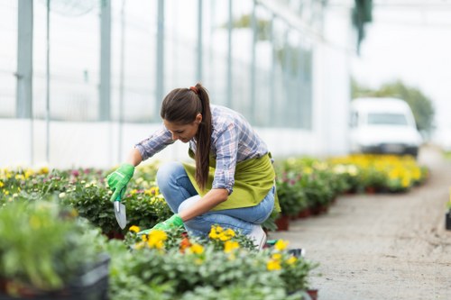 Professional lawn mowing service in Pinner with well-maintained grass