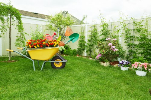 Benefits of tree removal services