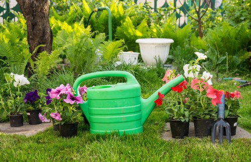 Eco-friendly tree removal practices
