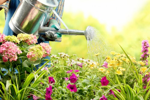 Eco-friendly garden clearance with green waste recycling