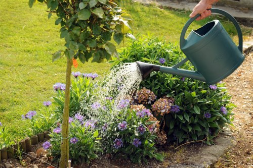 Clean and tidy garden after professional clearance