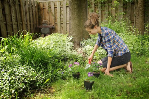 Cost-effective lawn mowing services in Pinner for homeowners