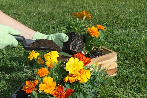 Healthy and vibrant lawn maintained by experts in Pinner