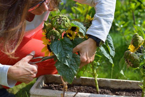 Eco-friendly landscaping maintenance services in Pinner